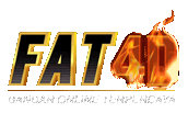 FAT4D logo
